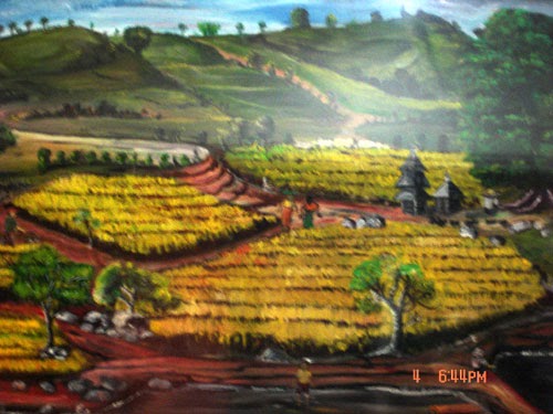 Terraced Indonesian ricefields beneath green hills